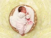 kleines Baby in einem runden Korb