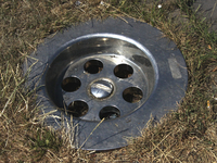 img6014hp.jpg