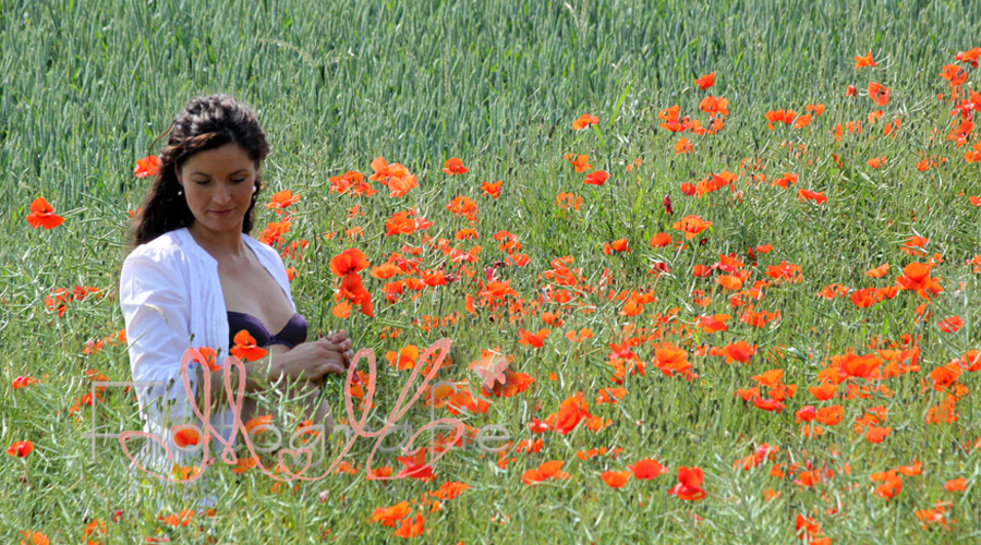 Babybauch-Fotoshooting im Mohnfeld