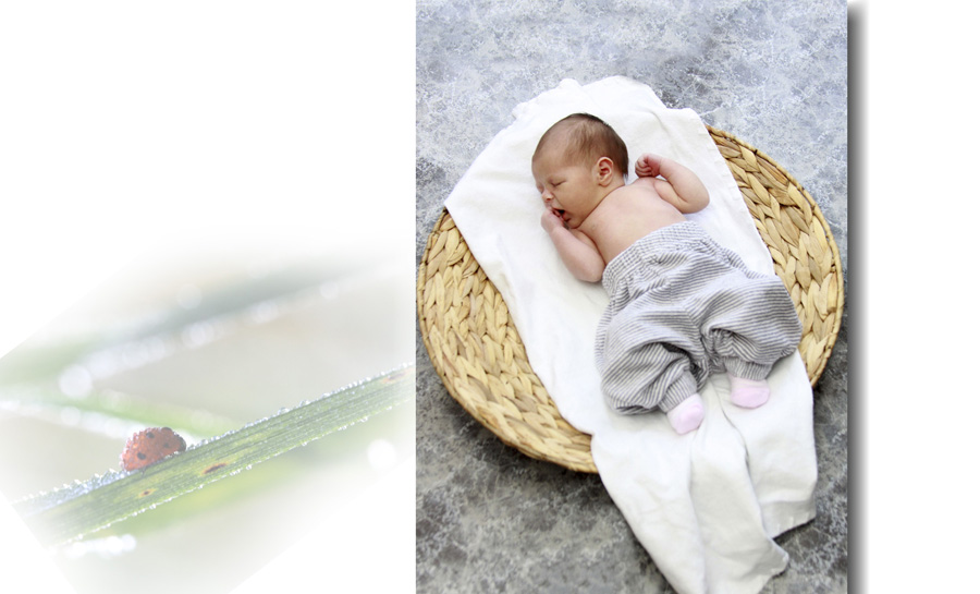 Kleines niedliches Baby in einem runden Körbchen