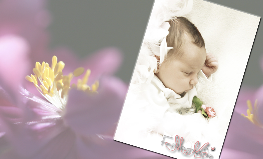 Das Baby schläft auf der Seite liegend. Im Hintergrund die Makroaufnahme einer lila Blüte