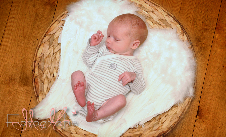 kleines Baby in einem runden Körbchen liegt auf großen Engelsflügeln