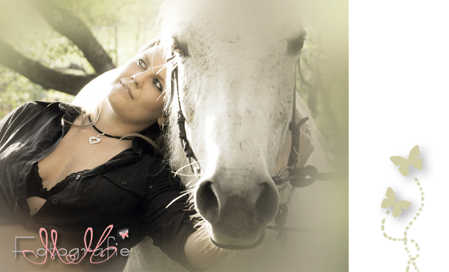 Pferd, Pferdefotografie, Pferdefotografie Heilbronn, Eppingen, Sinsheim, Bad Rappenau, Pferdefotograf Marita Hüttner