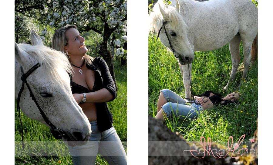 Pferd, Pferdefoto, schöne Pferdefotos, Pferdefotografie Heilbronn, Eppingen, Bretten, Sinsheim, Fotografie Marita Hüttner
