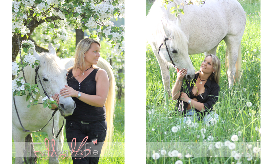 Pferde-Foto-Shooting, Geschenk, Gutschein, Pferdefotografie, Marita Hüttner Fotografie, Pferde, Pferdefotos