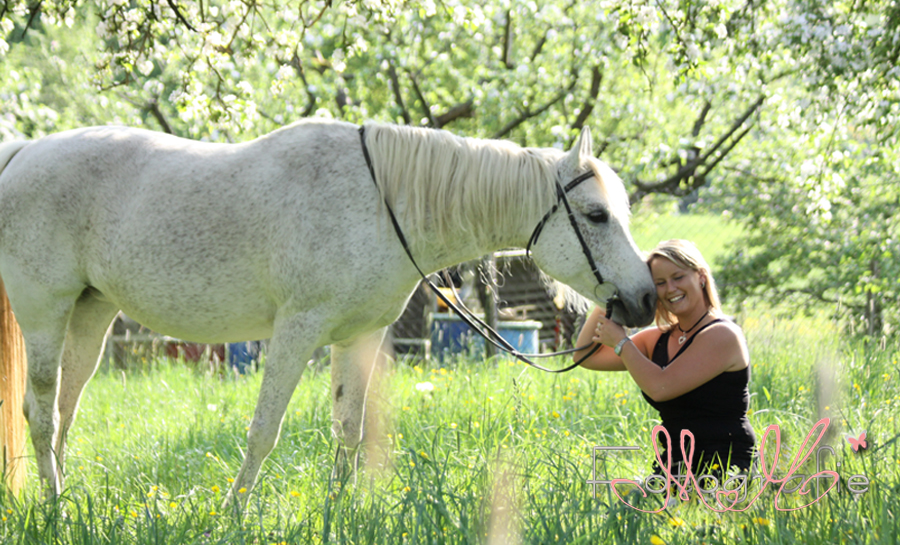 Pferdefotografie, Pferdefoto, Pferdebilder, Pferdefotograf Heilbronn, Eppingen, Sinsheim,