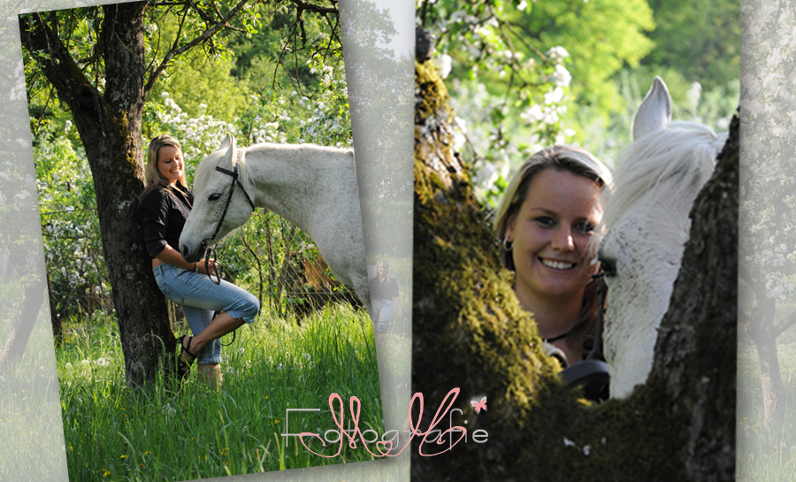 Fotos von Pferden, Pferdefotografie Marita Hüttner, Pferdefotos, Pferdefotografie, schöne Pferdefotos, schöne Pferdebilder, Pferdefotoshooting, Pferde, Fotos, Pferdefotograf Eppingen, Pferdefotograf Sinsheim, Pferdefotograf Bruchsal, Pferdefotograf Öhringen