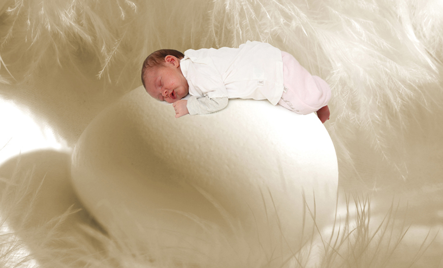 ein Baby liegt auf einem Ei 