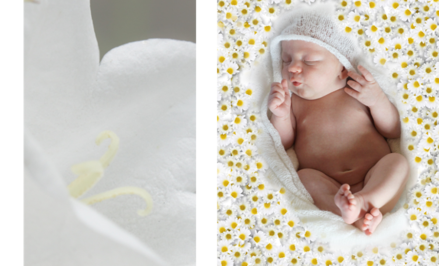 Baby in einer Blumenwiese
