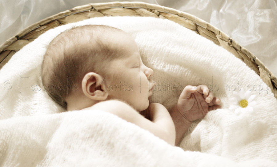 Portrait eines kleinen Babys in einem Körbchen