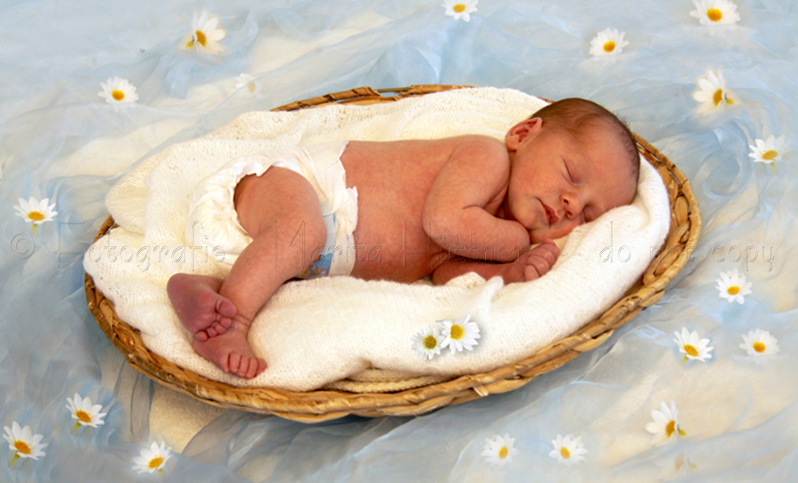 kleines Baby in einem Körbchen mit Blüten außenrum