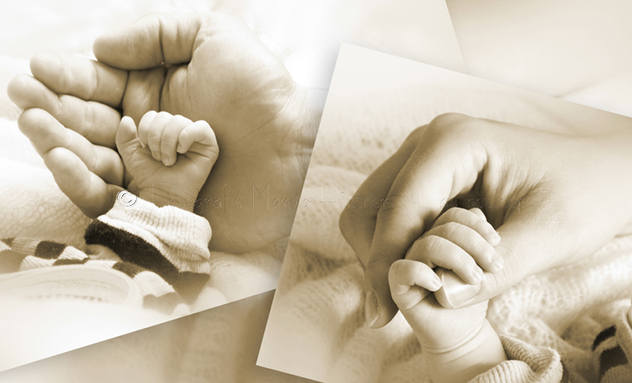 Baby Hand und Mama Hand und Papa Hand