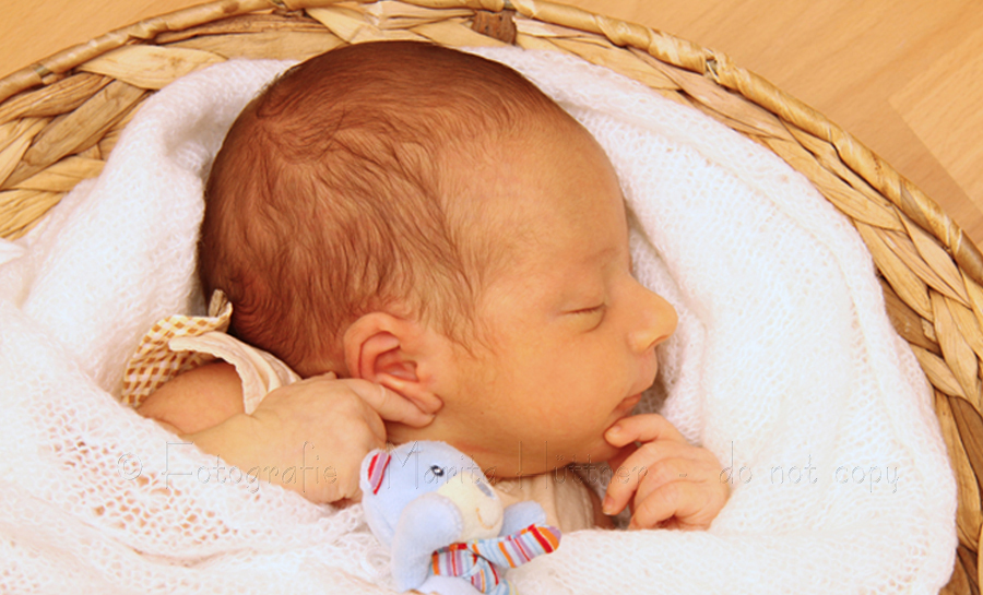 Portrait eines kleinen süßen Babys