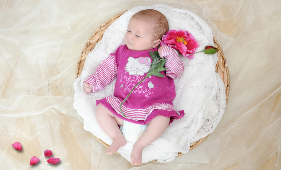 kleines Baby liegt in einem runden Körbchen