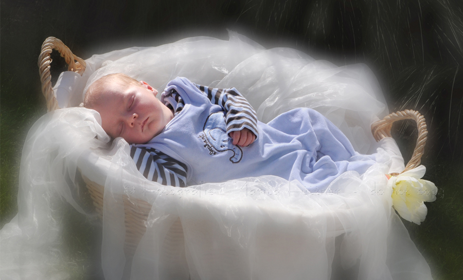 neugeborenes Baby im Freien in einem Korb