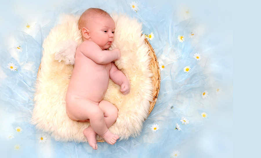 Baby mit Engelsflügeln in einem Körbchen