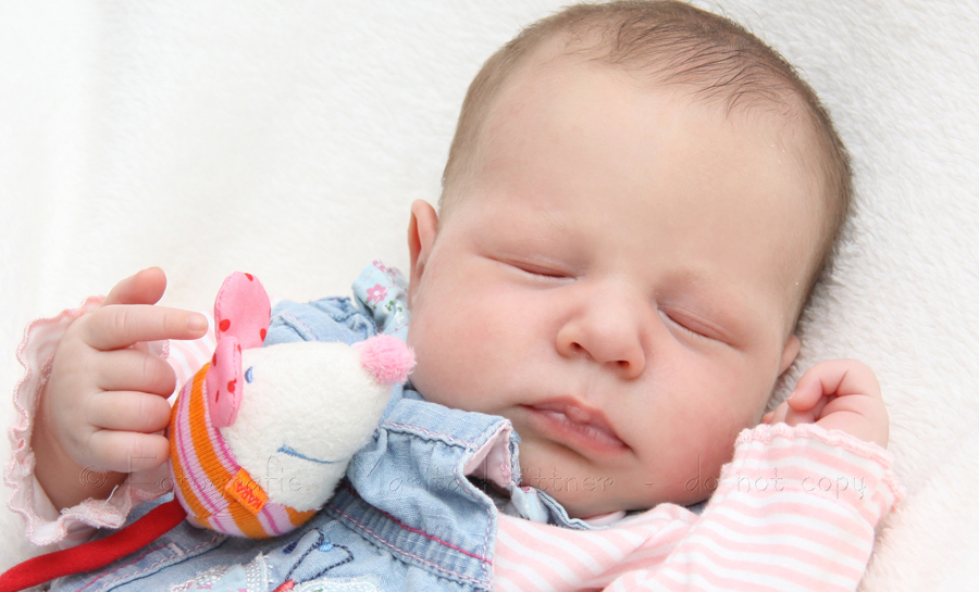 kleines Baby schlafend mit Kuscheltier