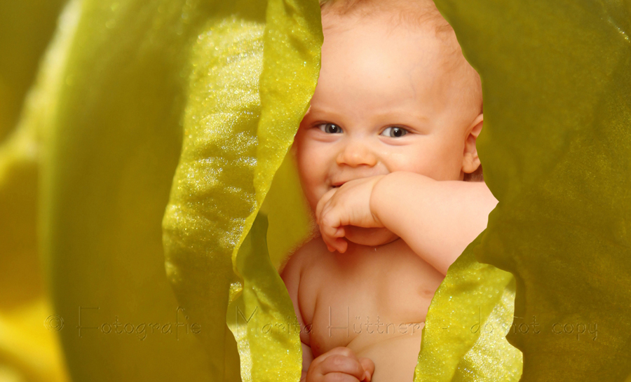 Baby in gelber Blüte