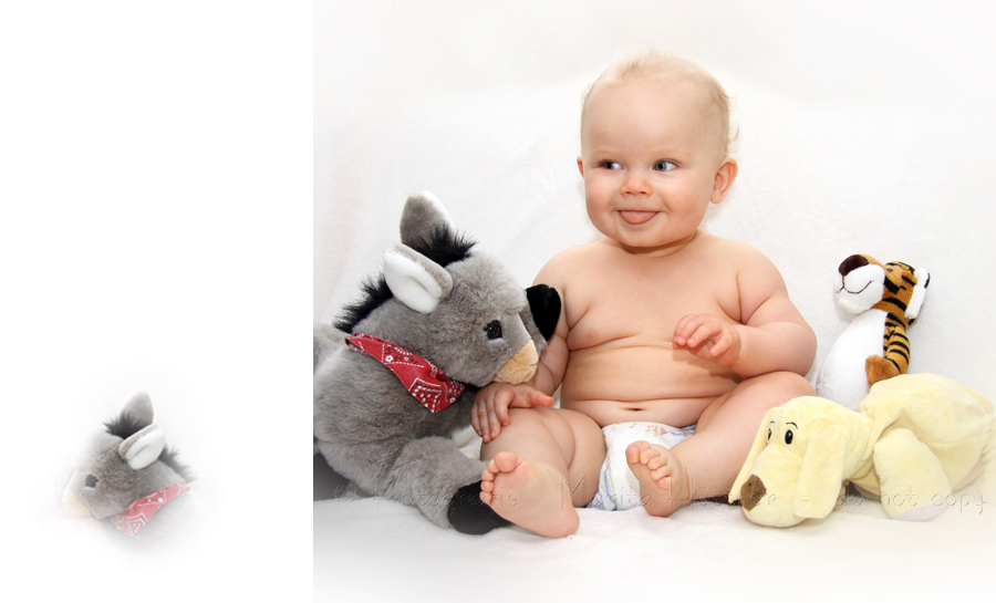 Babyfotografie - kleiner Junge mit Kuscheltieren