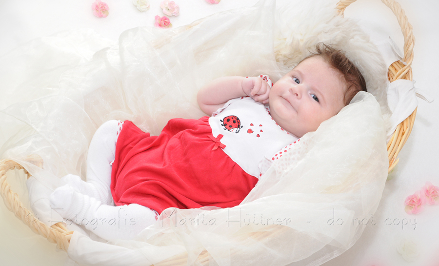 Baby 9 Wochen in einem Körbchen