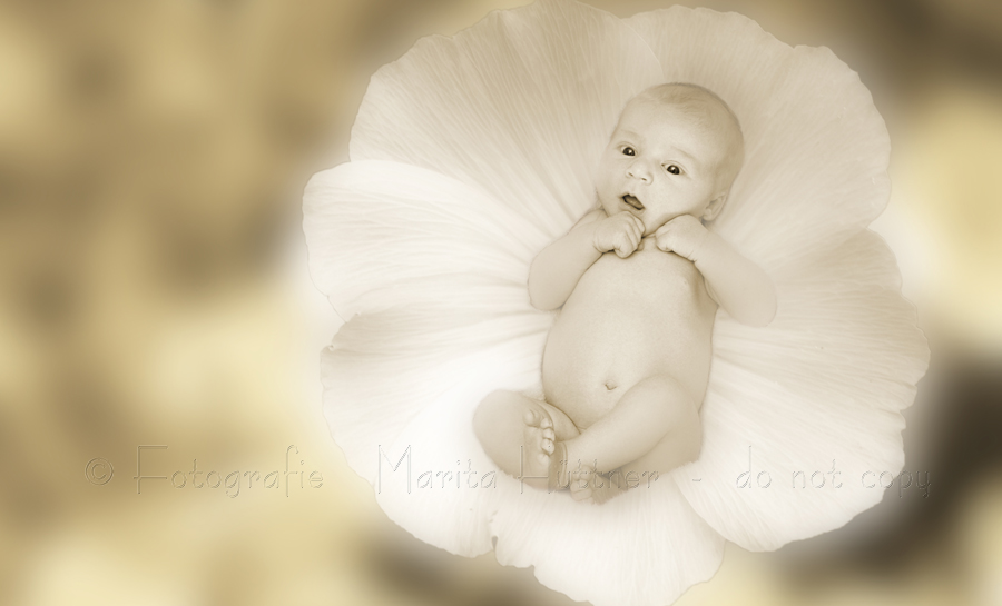 kleines Baby in einer Blume