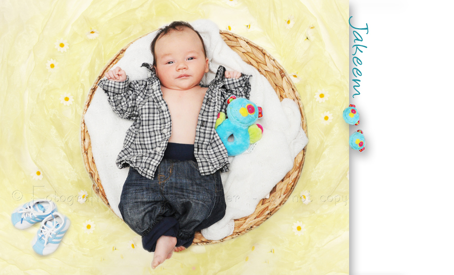Baby 7 wochen in einem runden Körbchen