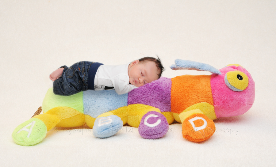 Baby Junge 7 Wochen auf einem Kuscheltier