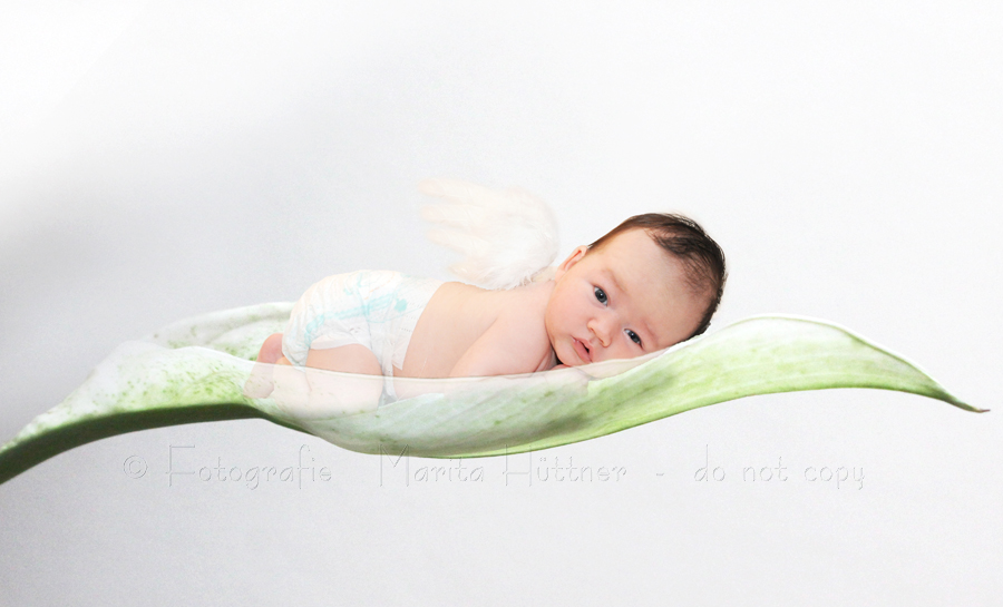 Baby in Blume