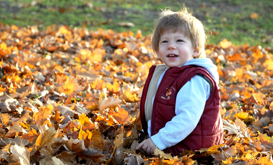Babyfotoshooting Offenau - Junge, 14 Monate