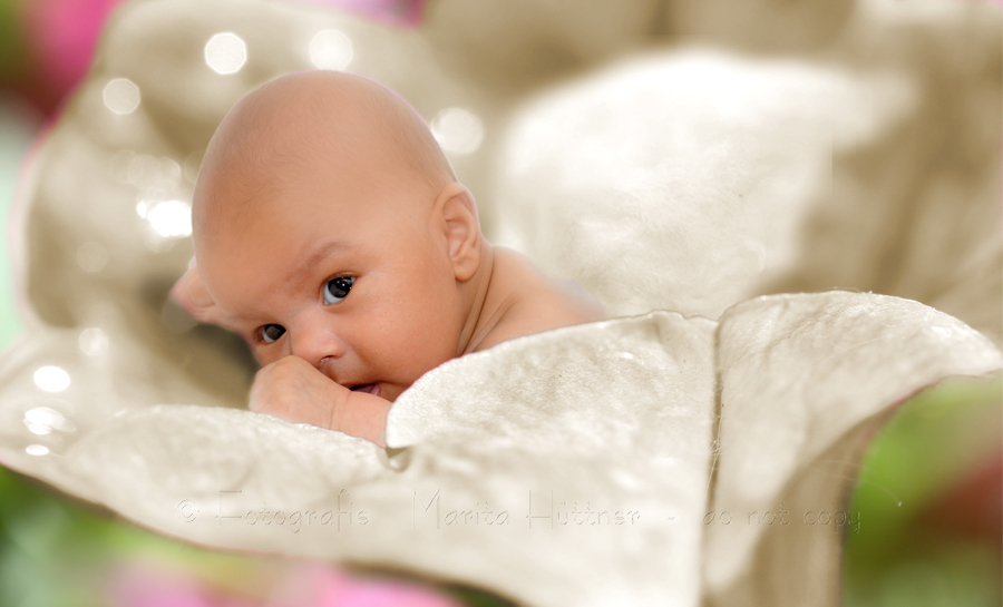 Baby in Blume