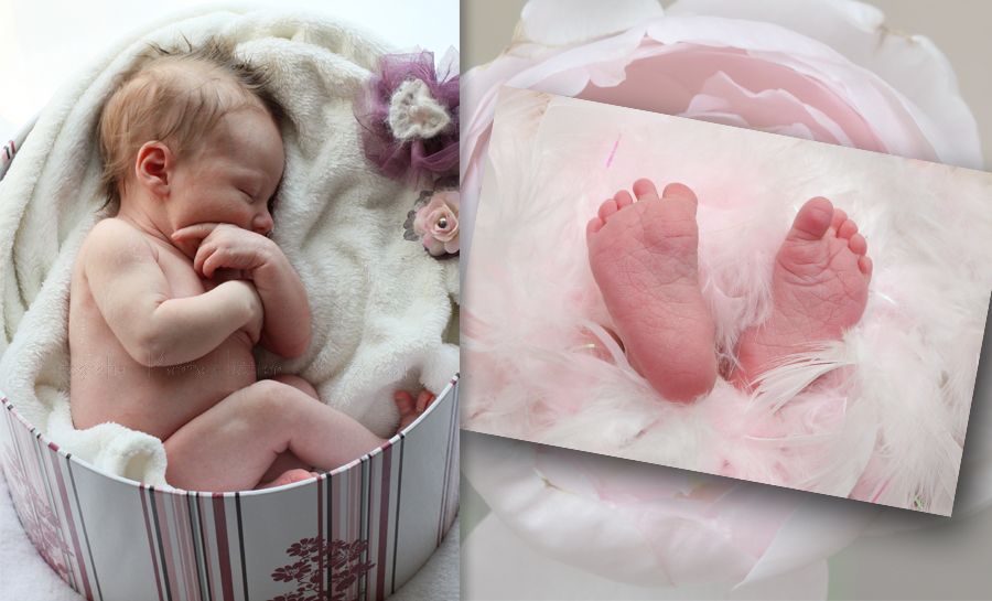 Babyfotos neugeborene