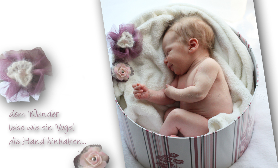 Babyfotografie, Neugeborenes Baby, Babyfotos