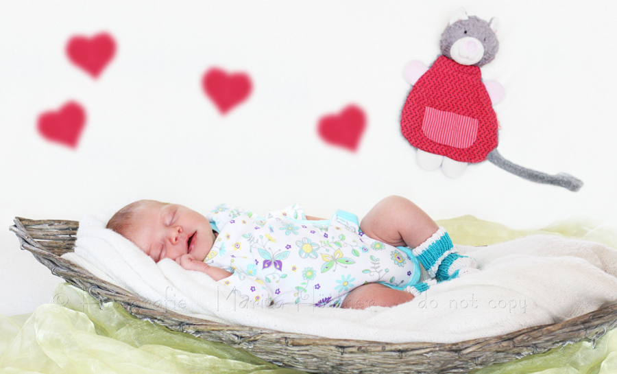 Neugeborenenfotografie -  Baby im  Körbchen - Babyfotografie Heilbronn