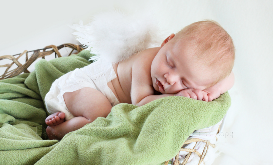 Baby mit Engelsflügeln - Babyfoto - Babyfotografie Heilbronn