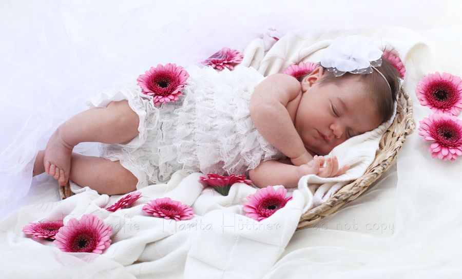 kleines Baby in einem Korb - Babyfotos Heilbronn, Bretten, Sinsheim, Bietigheim, Öhringen