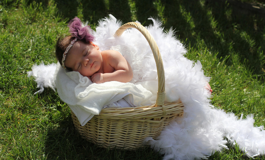 Babyfotos Heilbronn, Babyfotos Sinsheim, Babyfotos Öhringen, kleines Baby