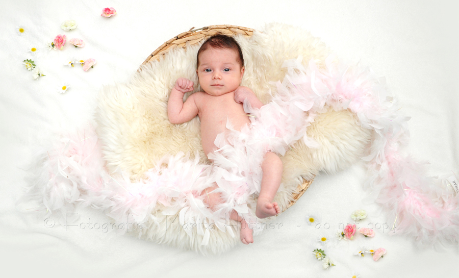 Babyfoto, Babyfotografie Heilbronn, Bad Friedrichshall, kleines Baby in einem Körbchen
