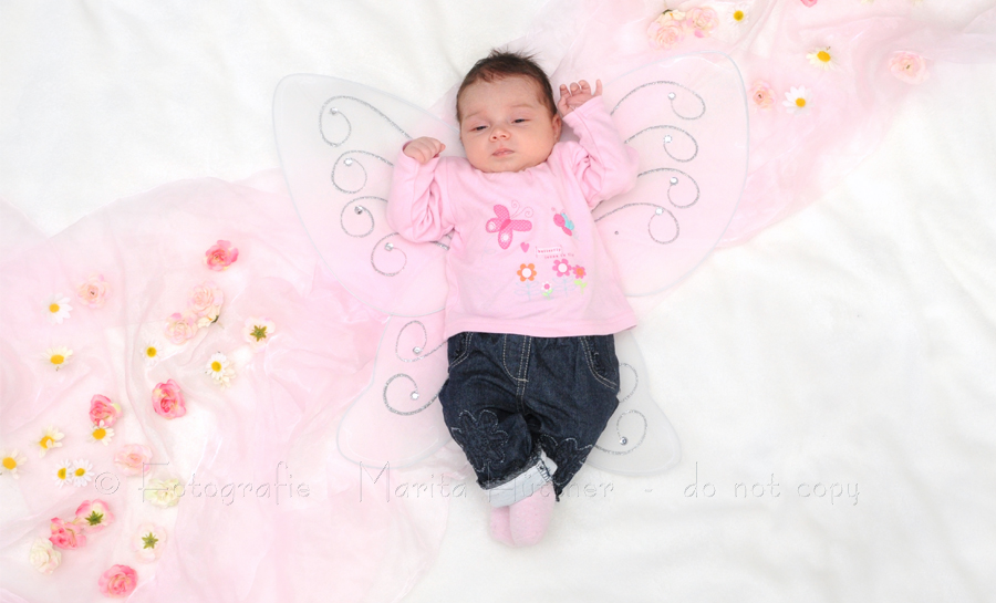 baby mit schmetterlingsflügeln, fotografin marita hüttner