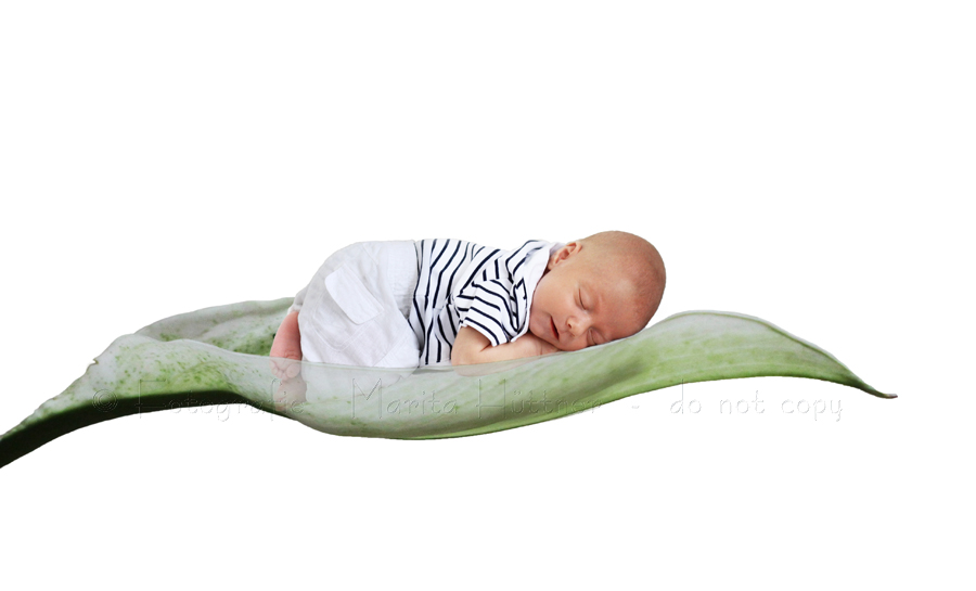 Baby, Babyfotos, Babyfotografie, Fotos Neugeboren, Fotografie, Babybilder,  Marita Hüttner, Eppingen, Kraichtal, Bretten, Bruchsal, Bretzfeld,  Heilbronn, Brackenheim, Bönnigheim, Öhringen, Neuenstadt,  Neckarsulm, Mosbach, Bad Friedrichshall, Bad Wimpfen, Bad Rappenau
