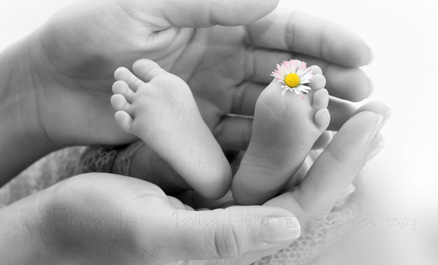Babyfüßchen, Baby, Neugeborenes, Babyfotografie Heilbronn, Babybilder, Babyfotoshooting,  Babyfotos, Fotoshooting  Fotografin Marita Hüttner, Sinsheim, Eppingen, Kraichtal, Bretten, Bruchsal, Bretzfeld,  Heilbronn, Brackenheim, Bönnigheim, Öhringen, Neuenstadt,  Neckarsulm, Mosbach, Bad Friedrichshall, Bad Wimpfen, Bad Rappenau, 
