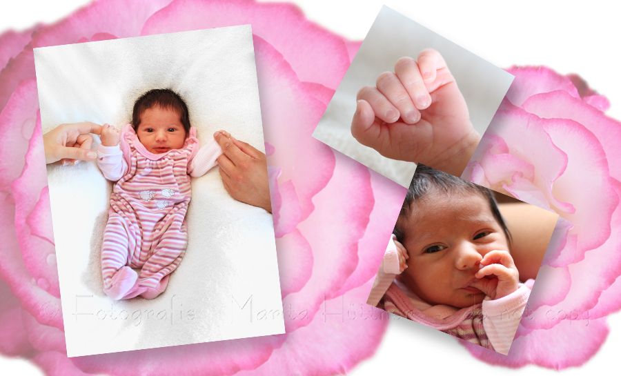 Baby, Neugeborenes, Babyfotografie Heilbronn, Babybilder, Babyfotoshooting,  Babyfotos, Fotoshooting  Fotografin Marita Hüttner, Sinsheim, Eppingen, Kraichtal, Bretten, Bruchsal, Bretzfeld,  Heilbronn, Brackenheim, Bönnigheim, Öhringen, Neuenstadt,  Neckarsulm, Mosbach, Bad Friedrichshall, Bad Wimpfen, Bad Rappenau, 