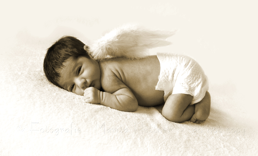 Baby mit Engelsflügeln, Baby, Neugeborenes, Babyfotografie Heilbronn, Babybilder, Babyfotoshooting,  Babyfotos, Fotoshooting  Fotografin Marita Hüttner, Sinsheim, Eppingen, Kraichtal, Bretten, Bruchsal, Bretzfeld,  Heilbronn, Brackenheim, Bönnigheim, Öhringen, Neuenstadt,  Neckarsulm, Mosbach, Bad Friedrichshall, Bad Wimpfen, Bad Rappenau, 