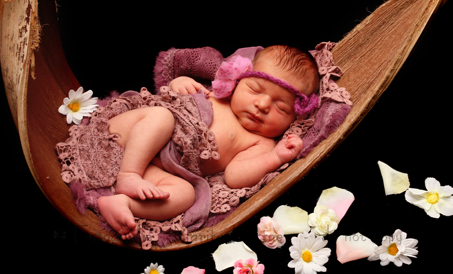Baby schlafend Foto, Baby, Neugeborenes, neugeboren, Babyfotograf, Babybilder, schöne Babyfotos, Babyfotos zuhause, Babyfotografin, Babyfotoshooting, Marita Hüttner, Babyfotografie Heilbronn, Sinsheim, Mosbach, Bietigheim, Ilsfeld, Lauffen, Eppingen, Kraichtal, Bretten, Bruchsal, Bretzfeld, Brackenheim, Bönnigheim, Öhringen, Neuenstadt, Neckarsulm, Neudenau, Bad Friedrichshall, Bad Wimpfen, Bad Rappenau, 