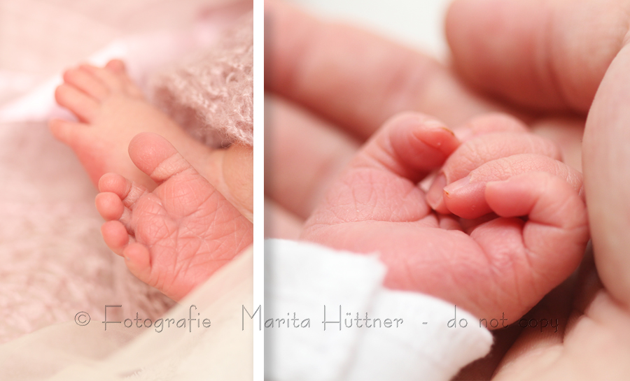 Babyhände, Babyfüße, Baby, Neugeborenes, neugeboren, Babyfotograf, Babybilder, schöne Babyfotos, Babyfotos zuhause, Babyfotografin, Babyfotoshooting, Marita Hüttner, Babyfotografie Heilbronn, Sinsheim, Mosbach, Bietigheim, Ilsfeld, Lauffen, Eppingen, Kraichtal, Bretten, Bruchsal, Bretzfeld, Brackenheim, Bönnigheim, Öhringen, Neuenstadt, Neckarsulm, Neudenau, Bad Friedrichshall, Bad Wimpfen, Freudental, Bad Rappenau, 