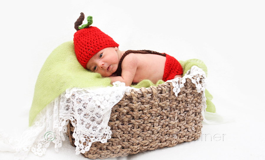 Neugeborenes Baby in einem Körbchen, Babyfotograf, Babybilder, schöne Babyfotos, Babyfotos zuhause, Babyfotografin, Babyfotoshooting, Marita Hüttner, Babyfotografie Heilbronn, Sinsheim, Mosbach, Bietigheim, Ilsfeld, Lauffen, Eppingen, Kraichtal, Bretten, Bruchsal, Bretzfeld, Brackenheim, Bönnigheim, Öhringen, Neuenstadt, Neckarsulm, Neudenau, Bad Friedrichshall, Bad Wimpfen, Bad Rappenau, 