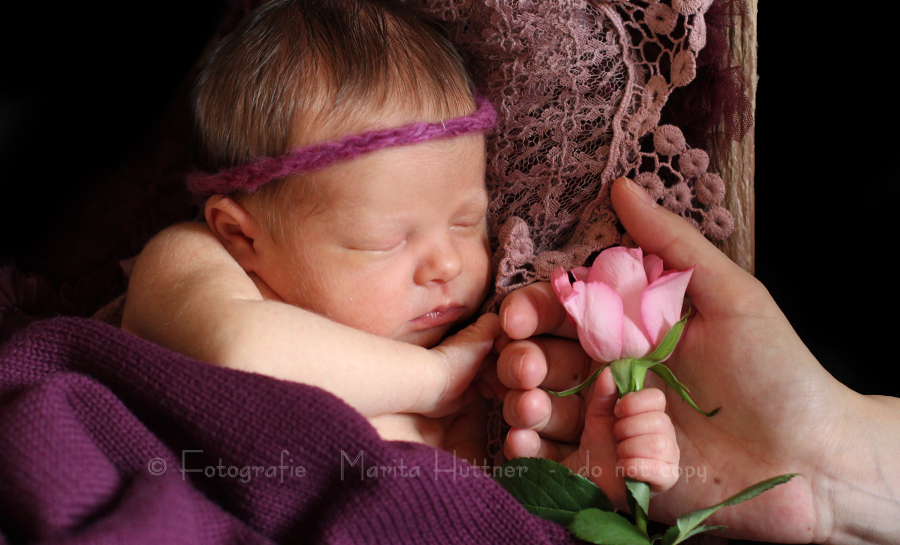 mobile Fotografin, Babyfotografie Heilbronn, mobile Fotografie, Babyfotograf, Babybilder, schöne Babyfotos, Baby, Neugeborenes, Babyfotos zuhause, Babyfotografin, Babyfotoshooting, Marita Hüttner, Babyfotografie Sinsheim, Mosbach, Bietigheim, Ilsfeld, Lauffen, Eppingen, Kraichtal, Bretten, Bruchsal, Bretzfeld, Brackenheim, Bönnigheim, Öhringen, Neuenstadt, Neckarsulm, Neudenau, Bad Friedrichshall, Bad Wimpfen, Bad Rappenau, 