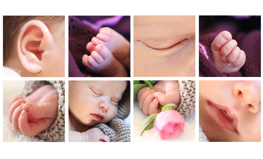 Babyfotografie Heilbronn, Babyhände, Babyfüße, Baby, kleines Baby, Babyfotograf, Babybilder, schöne Babyfotos, Babyfotos zuhause, Babyfotografin, Babyfotoshooting, Neugeborenes, Marita Hüttner, Babyfotografie Sinsheim, Mosbach, Bietigheim, Ilsfeld, Lauffen, Eppingen, Kraichtal, Bretten, Bruchsal, Bretzfeld, Brackenheim, Bönnigheim, Öhringen, Neuenstadt, Neckarsulm, Neudenau, Bad Friedrichshall, Bad Wimpfen, Bad Rappenau, Leingarten,