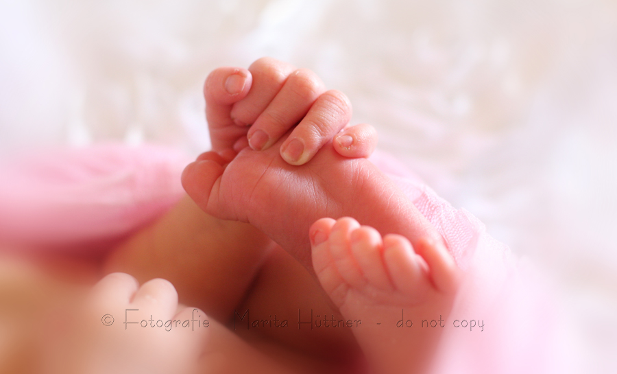Füßchen Baby, Füßchenfoto Neugeborenes, Fotografin, Profifotografin, professionelle Fotografie, Fotoshooting, Babyshooting, Neugeborenenfotograf, Baby, Babyfotograf, Neugeboren, Kinder, Familie, Marita Hüttner, Babyfotografie Heilbronn, Öhringen, Bretzfeld, Bretten, Heilbronn, Eppingen, Sinsheim, Mosbach, Bruchsal, Bönnigheim, Ilsfeld, Lauffen, Kraichtal, Bad Wimpfen, Bad Friedrichshall, Bad Rappenau, Waghäusel, Schönborn, Mosbach, Marita Hüttner Fotografie