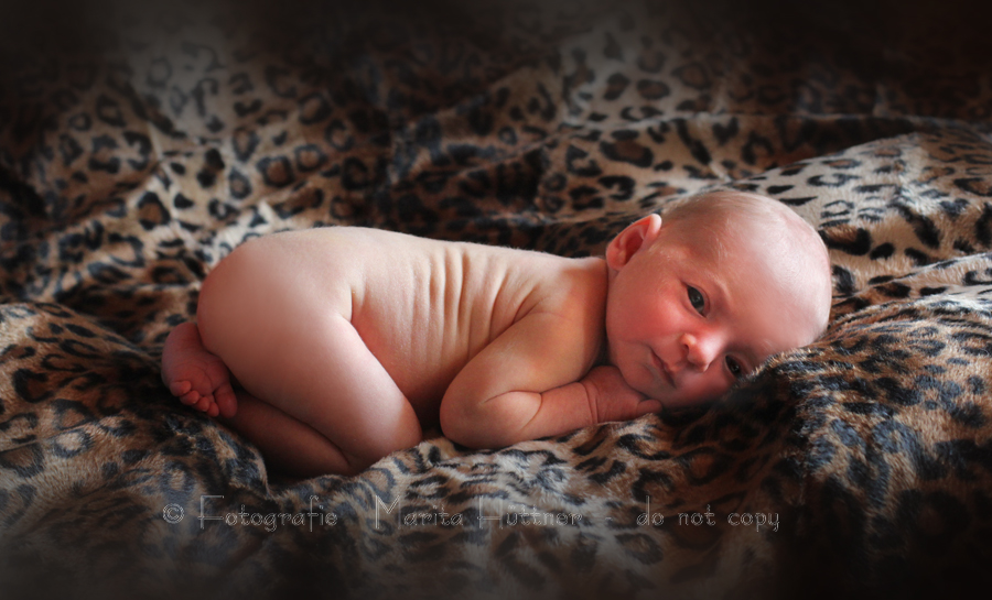 schöne Babyfotos, Babyfotografie Heilbronn, Kinderfotos zuhause, Babyfotografin, Babyfotoshooting, Shooting Kinder und Familie, Fotografie Marita Hüttner, Sinsheim, Mosbach, Bietigheim, Ilsfeld, Lauffen, Eppingen, Kraichtal, Bretten, Bruchsal, Bretzfeld, Brackenheim, Bönnigheim, Öhringen, Neuenstadt, Neckarsulm, Neudenau, Bad Friedrichshall, Bad Wimpfen, Bad Rappenau, 