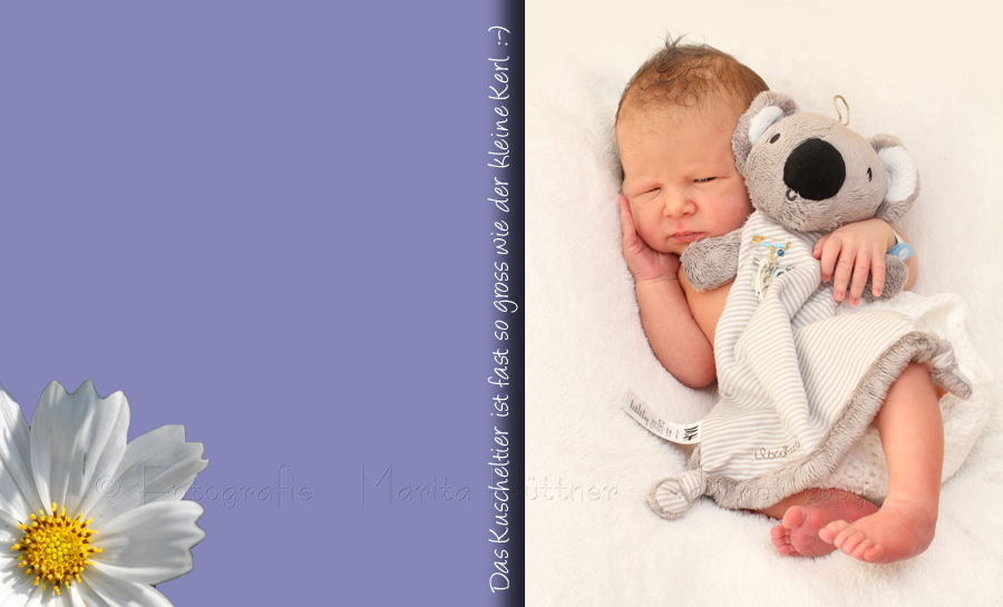 schöne Babyfotos, Fotos Neugeborenes, professioneller Babyfotograf, Babyshooting, Shooting neugeborenes, Shooting zuhause, Babyfotos, Neugeborenenfotos, mobile Fotografin Marita Hüttner, Outdoorshooting, Kinderbilder zuhause, Kindershooting zuhause, Eppingen, Bretten, Bruchsal, Bretzfeld, Sinsheim, Mosbach, Heilbronn, Leingarten, Schwaigern, Ilsfeld, Lauffen, Kraichtal, Oberderdingen